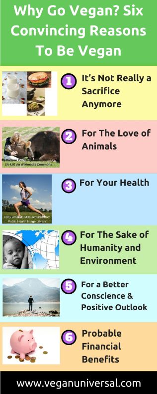Pinterest Pin: Why Go Vegan? Six Convincing Reasons Pinterest Pin: Why Go Vegan? Six Convincing Reasons